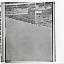 Shore of Lake Erie by Leaminton (Flight Line A3272, Photo Number 53)