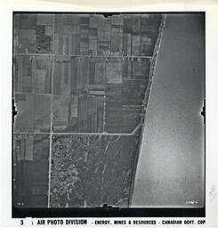 Point Pelee, Lake Erie Shoreline (Flight Line A11161, Roll [55E], Photo Number 6)